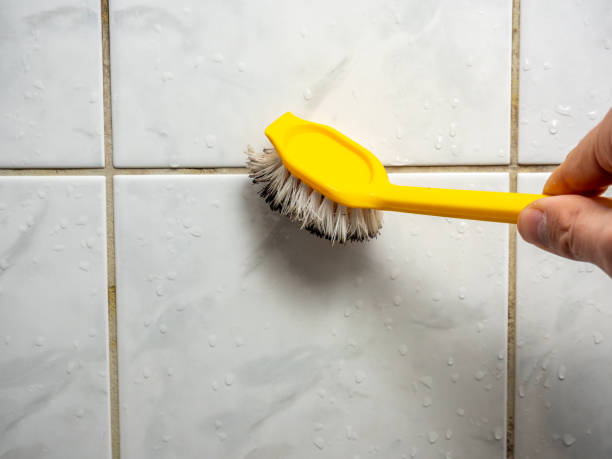 Certified Mold Removal in Siloam Springs, AR