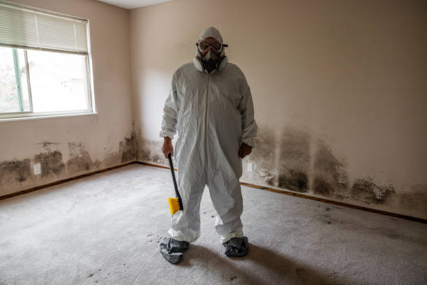 Best Mold Testing  in Siloam Springs, AR